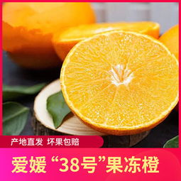 四味生活 水产、蔬果与熟食的餐桌交响